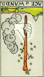 Tarot, cards, key to the tarot, free tarot readings, divination, ancient celtic method, Arthur Edward Waite, A.E. Waite, Pamela Colman Smith, L.W. de Laurence, Waite, Colman-Smith, de Laurence, free natal chart, free astrology report, astrology, zodiac, astrological, astrologer, professional, chartwheels, readings, horoscope, midpoint, midpoints, sign, Aries, Taurus, Gemini, Cancer, Leo, Virgo, Libra, Scorpio, Sagittarius, Capricorn, Aquarius, Pisces, psychic, Postnuke, PHP, scripts, software, programs.